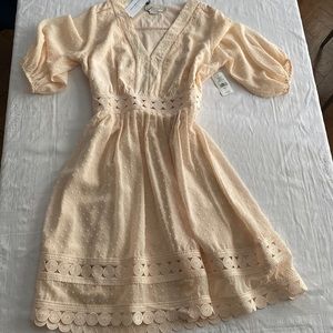 Pretty blush pink dress with feminine lace detail. Molly Bracken. Size Large.